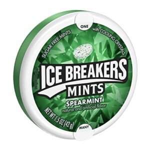 Ice Breakers Sugar Free Mint With Cooling Crystal, Spearmint, 42g (Pack Of 2)
