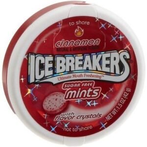 Ice Breaker Cinnamon Sugar Free Mints, 42 g